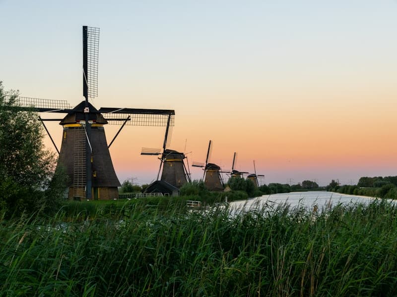 mixed farms
