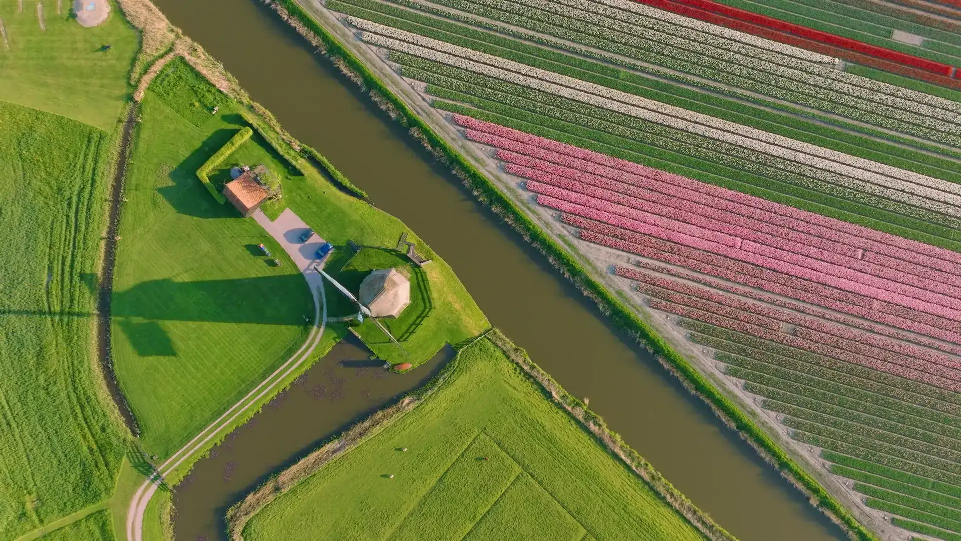 Agriculture