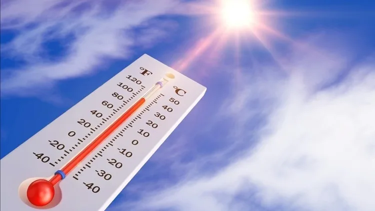 The effects of a heatwave on the electricity market