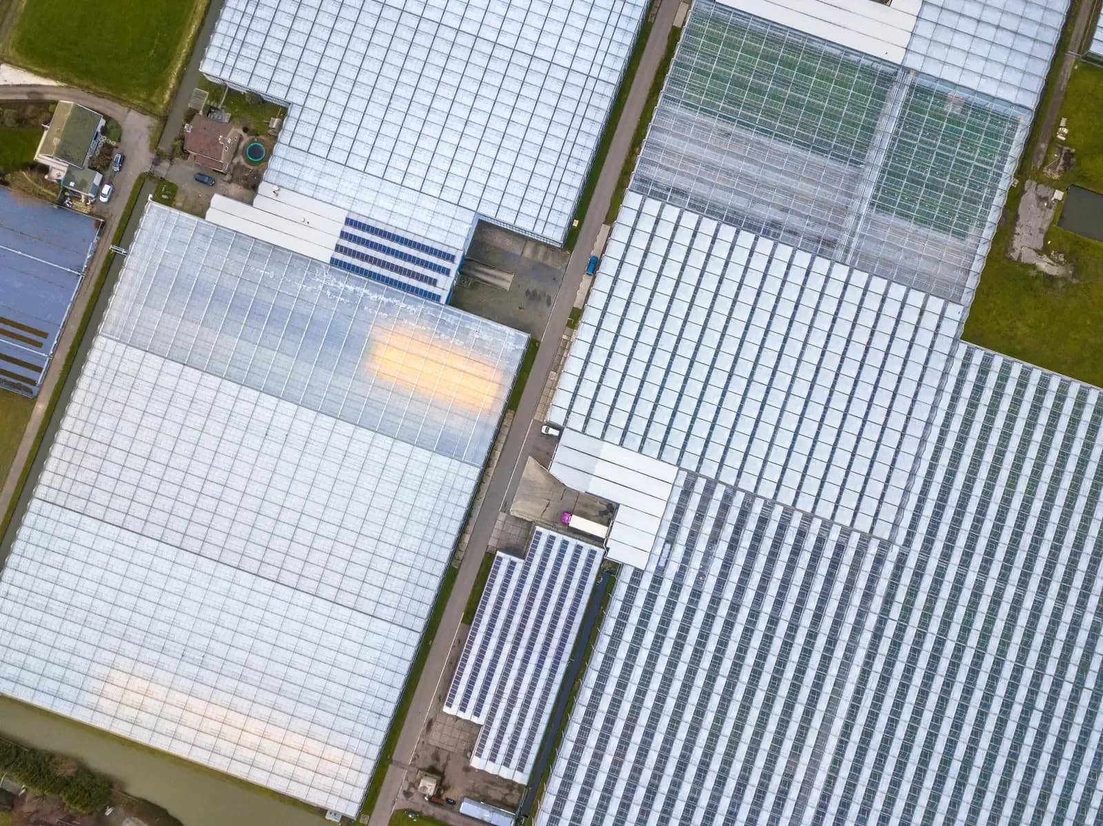 Energy challenges for growers
