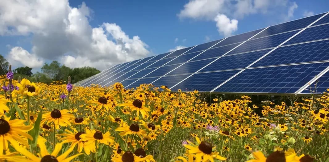 Solar panels worldwide on track to record: 270 GW by 2023