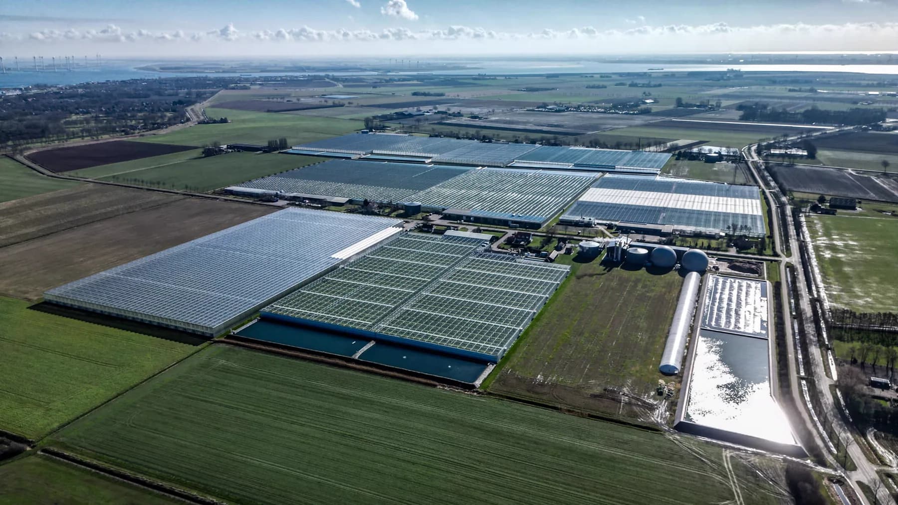 Van Noord Growers: Regional choices in a changing market