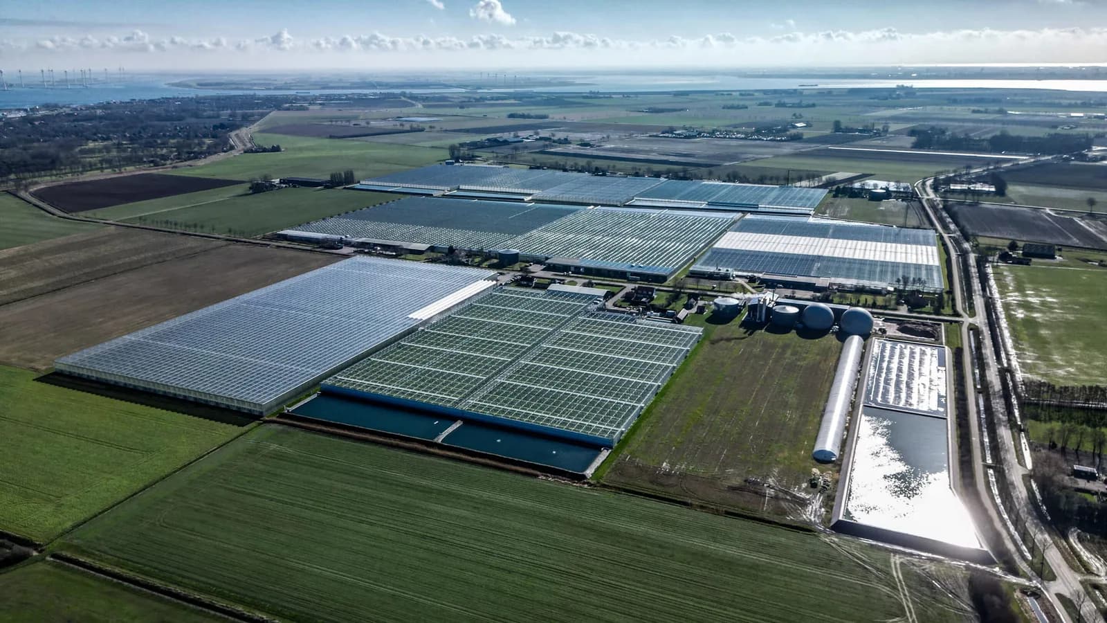 Van Noord Growers: Regionale keuzes in een veranderende markt